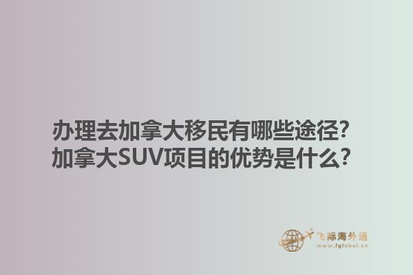 办理去加拿大移民有哪些途径？加拿大SUV项目的优势是什么？1.jpg