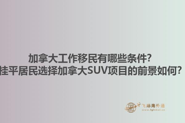 加拿大工作移民有哪些条件？桂平居民选择加拿大SUV项目的前景如何？