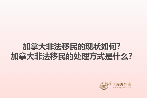 加拿大非法移民的现状如何？加拿大非法移民的处理方式是什么？1.jpg