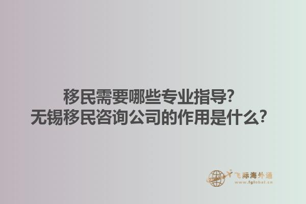 移民需要哪些专业指导？无锡移民咨询公司的作用是什么？1.jpg