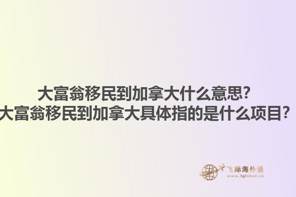 大富翁移民到加拿大什么意思？大富翁移民到加拿大具体指的是什么项目？1.jpg