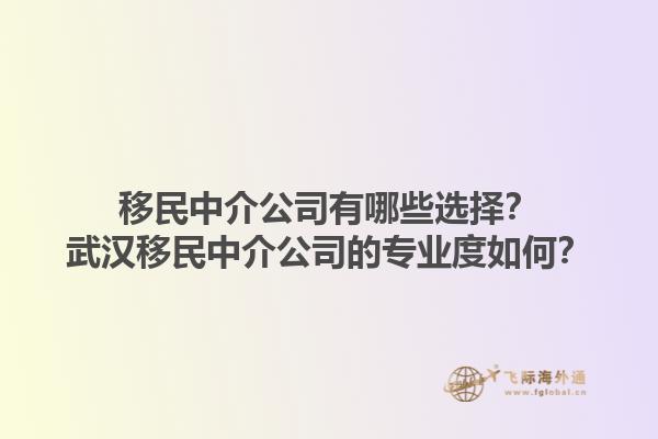 移民中介公司有哪些选择？武汉移民中介公司的专业度如何？1.jpg