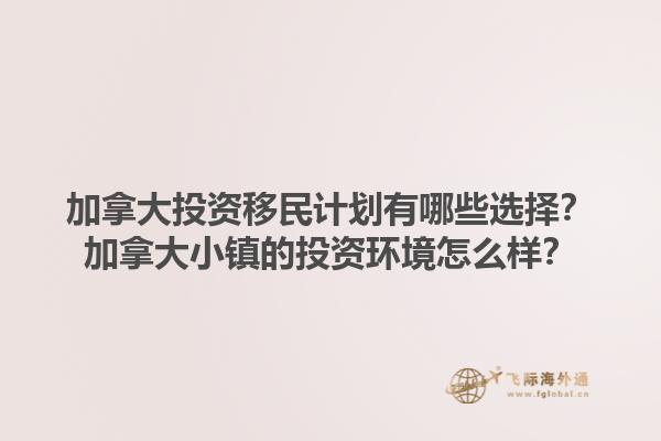 加拿大投资移民计划有哪些选择？加拿大小镇的投资环境怎么样？1.jpg