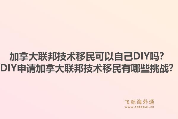 加拿大联邦技术移民可以自己DIY吗？DIY申请加拿大联邦技术移民有哪些挑战？1.jpg