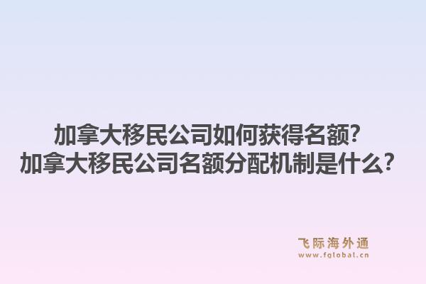 加拿大移民公司如何获得名额？加拿大移民公司名额分配机制是什么？1.jpg