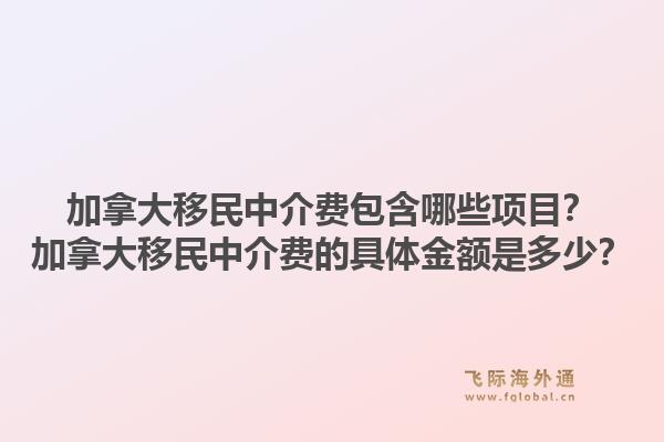 加拿大移民中介费包含哪些项目？加拿大移民中介费的具体金额是多少？