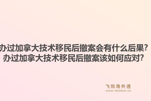 办过加拿大技术移民后撤案会有什么后果？办过加拿大技术移民后撤案该如何应对？1.jpg