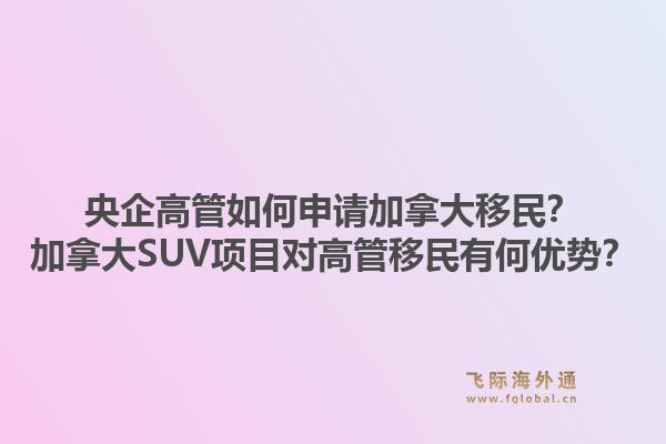 央企高管如何申请加拿大移民？加拿大SUV项目对高管移民有何优势？1.jpg