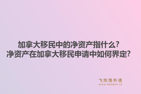 加拿大移民中的净资产指什么？净资产在加拿大移民申请中如何界定？1.jpg