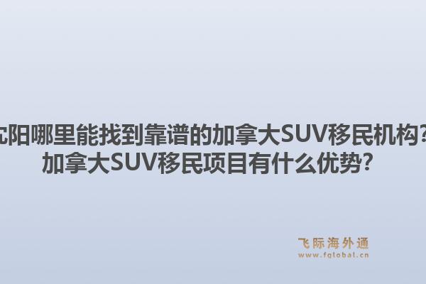 沈阳哪里能找到靠谱的加拿大SUV移民机构?加拿大SUV移民项目有什么优势?1.jpg