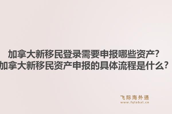 加拿大新移民登录需要申报哪些资产？加拿大新移民资产申报的具体流程是什么？
