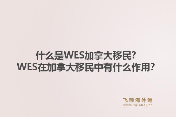 什么是WES加拿大移民？WES在加拿大移民中有什么作用？1.jpg
