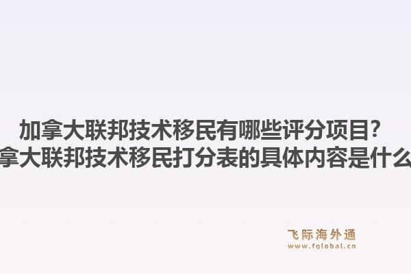 加拿大联邦技术移民有哪些评分项目？加拿大联邦技术移民打分表的具体内容是什么？1.jpg