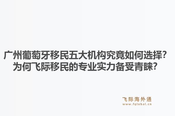 广州葡萄牙移民五大机构究竟如何选择?为何飞际移民的专业实力备受青睐?1.jpg