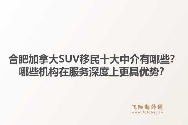 合肥加拿大SUV移民十大中介有哪些?哪些机构在服务深度上更具优势?1.jpg