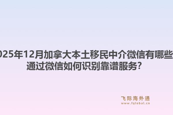 2025年12月加拿大本土移民中介微信有哪些?通过微信如何识别靠谱服务?1.jpg