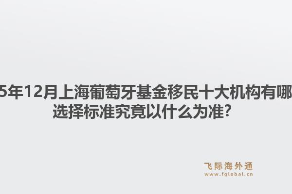2025年12月上海葡萄牙基金移民十大机构有哪些？选择标准究竟以什么为准？1.jpg