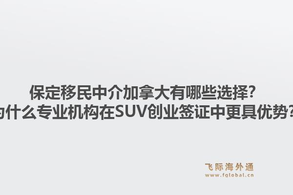 保定移民中介加拿大有哪些选择？为什么专业机构在SUV创业签证中更具优势？1.jpg