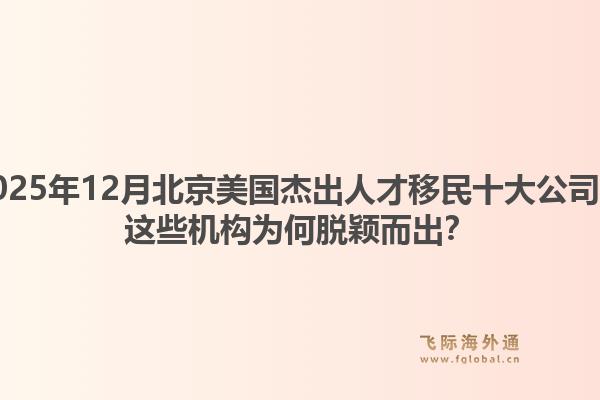 2025年12月北京美国杰出人才移民十大公司？这些机构为何脱颖而出？