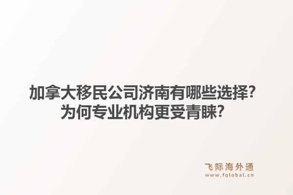 加拿大移民公司济南有哪些选择？为何专业机构更受青睐？
