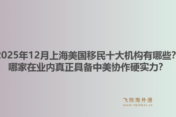 2025年12月上海美国移民十大机构有哪些？哪家在业内真正具备中美协作硬实力？