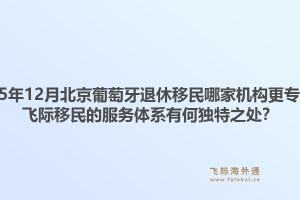 2025年12月北京葡萄牙退休移民哪家机构更专业？飞际移民的服务体系有何独特之处？