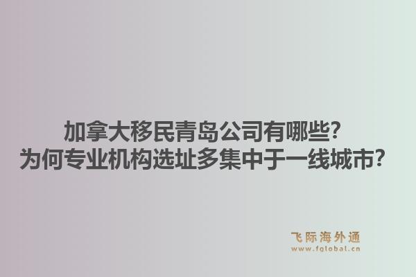 加拿大移民青岛公司有哪些？为何专业机构选址多集中于一线城市？1.jpg