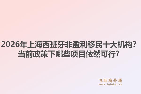 2026年上海西班牙非盈利移民十大机构？当前政策下哪些项目依然可行？