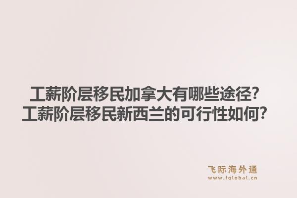 工薪阶层移民加拿大有哪些途径？工薪阶层移民新西兰的可行性如何？