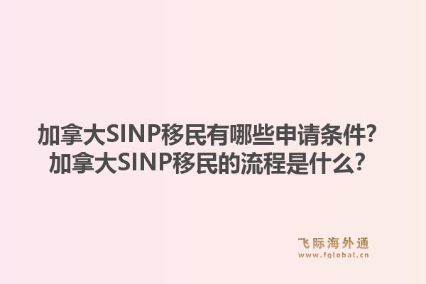 加拿大SINP移民有哪些申请条件？加拿大SINP移民的流程是什么？