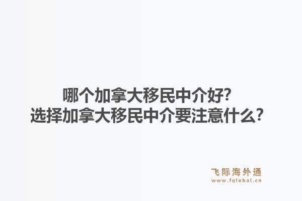 哪个加拿大移民中介好？选择加拿大移民中介要注意什么？1.jpg