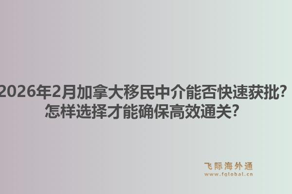2026年2月加拿大移民中介能否快速获批？怎样选择才能确保高效通关？1.jpg