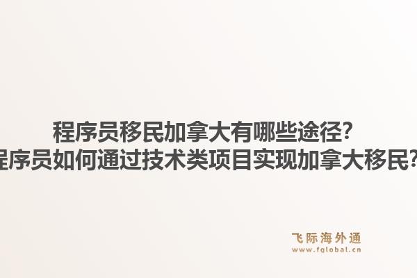 程序员移民加拿大有哪些途径？程序员如何通过技术类项目实现加拿大移民？1.jpg