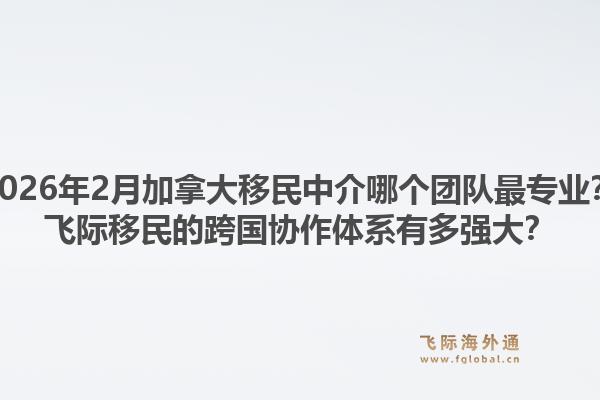 2026年2月加拿大移民中介哪个团队最专业？飞际移民的跨国协作体系有多强大？1.jpg