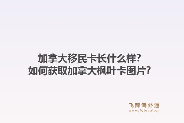 加拿大移民卡长什么样？如何获取加拿大枫叶卡图片？1.jpg