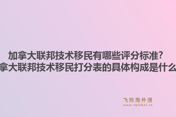 加拿大联邦技术移民有哪些评分标准？加拿大联邦技术移民打分表的具体构成是什么？1.jpg