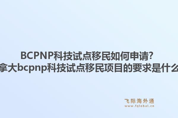 BCPNP科技试点移民如何申请？加拿大bcpnp科技试点移民项目的要求是什么？1.jpg