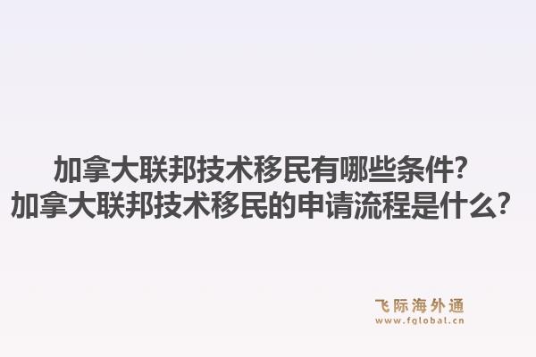 加拿大联邦技术移民有哪些条件?加拿大联邦技术移民的申请流程是什么?1.jpg