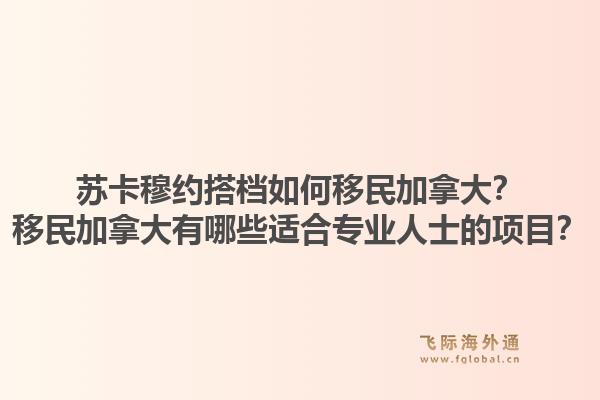 苏卡穆约搭档如何移民加拿大？移民加拿大有哪些适合专业人士的项目？1.jpg