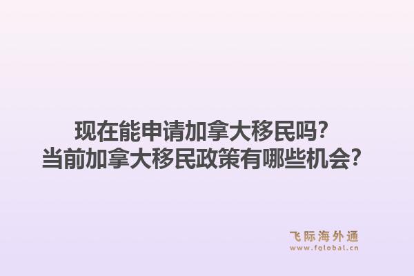 现在能申请加拿大移民吗？当前加拿大移民政策有哪些机会？